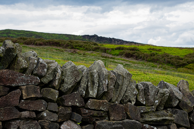 Worm Stones Rocks