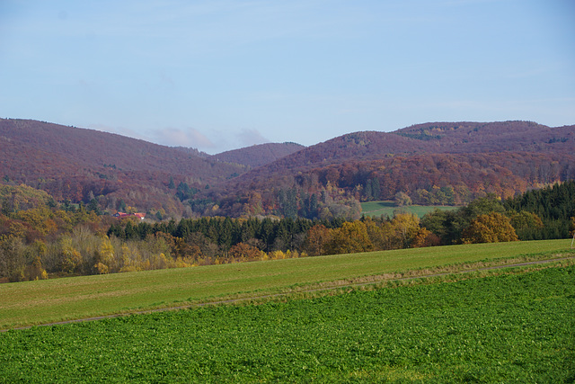 Im Hintergrund der "Große Knollen"