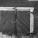 SSC Rectangles