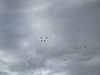 IMG 1368