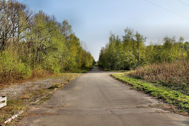 Zufahrtstraße für Kipplaster am Fuß der Halde Großes Holz (Bergkamen) / 9.04.2017