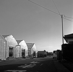 Greenhouses