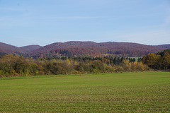 Harz in der Herbstsonne