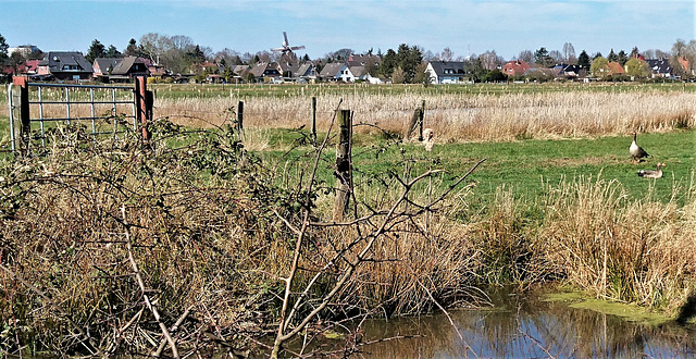 Wiesen am Siedenfelder Weg