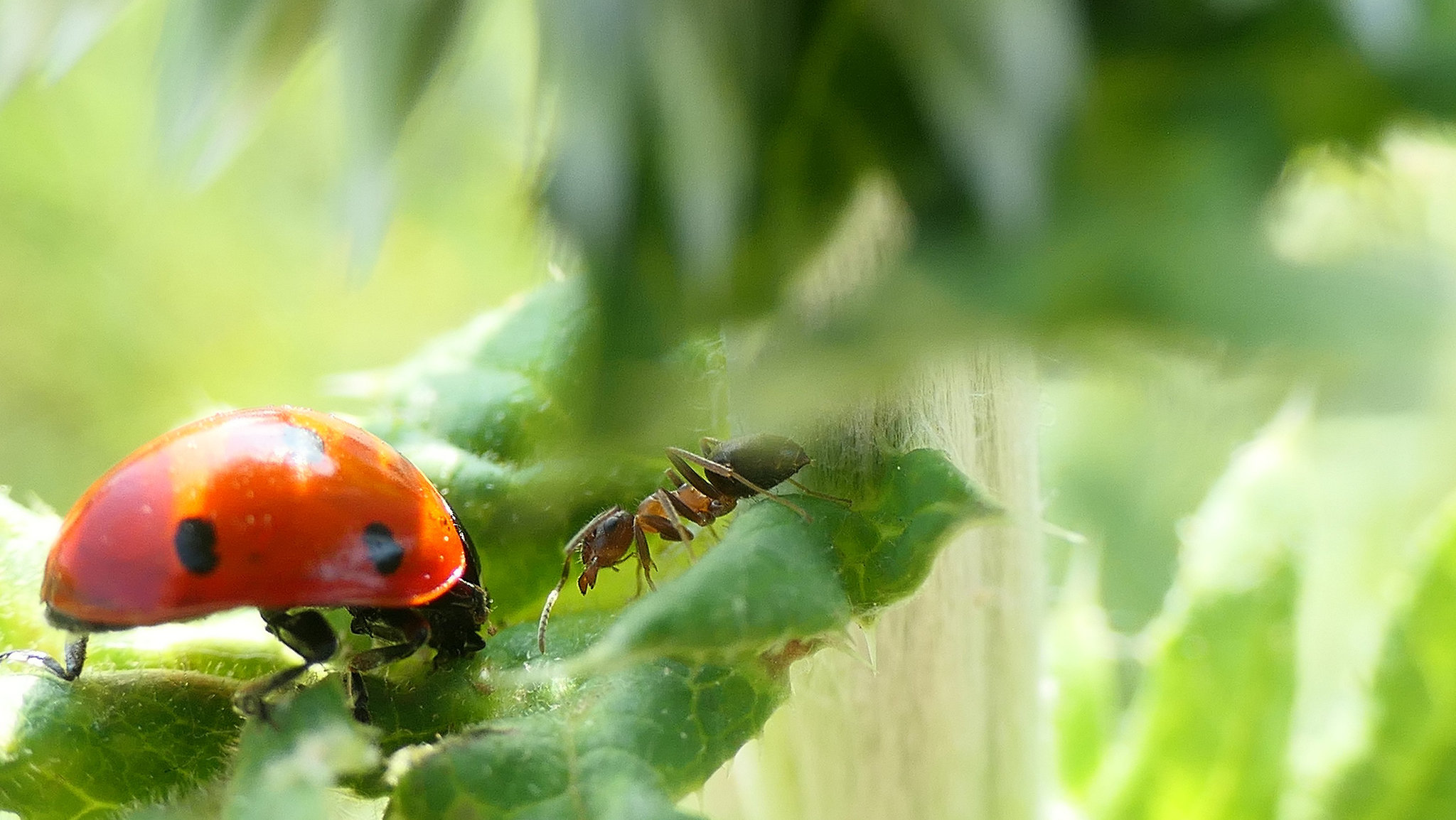 Une rencontre...