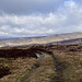 Wide View from Black Moor