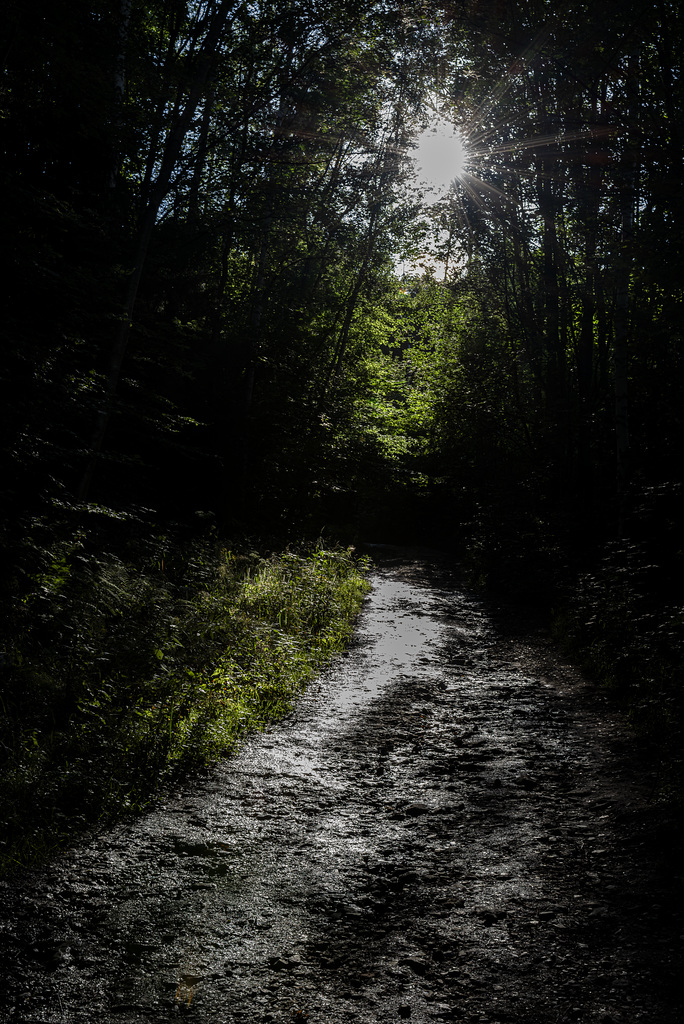 20240811_Spaziergang Rappbodetalsperre (D800)
