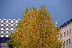 Herbststimmung in Dresden