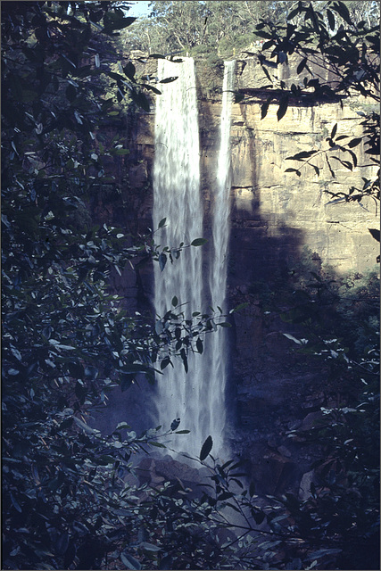 Fitzroy Falls