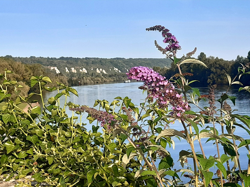 Au fil de l'eau