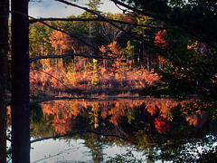 Reflections, Lake Sudbury MA , USA