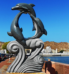 Dolphins Oman (410)