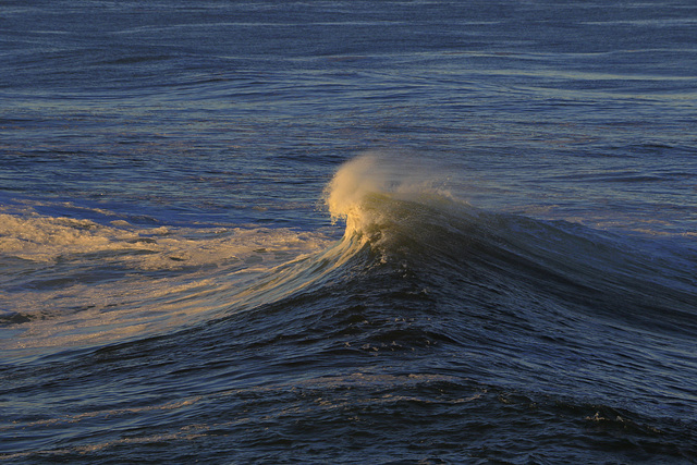 Sunlit and Windblown Wave