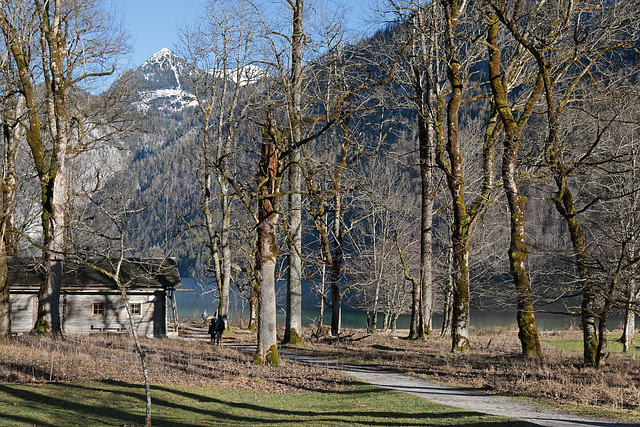 St. Bartholomä - Auf dem Rundwanderweg (04)