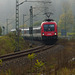 Gäubahn Streckenkilometer 113