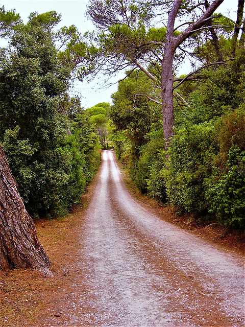 Domaine Terres des Perdrix, Gabian F,  Département Hérault