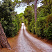 Domaine Terres des Perdrix, Gabian F,  Département Hérault