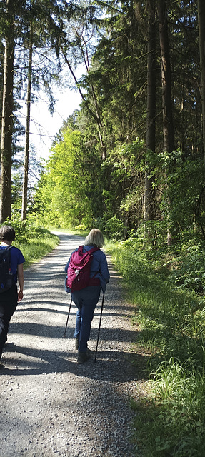 Fränkischer-Gebirgswerk Hollfeld-Hochstahl