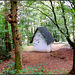 Forest Chapel (Hbm)--War monument st jozef chapel