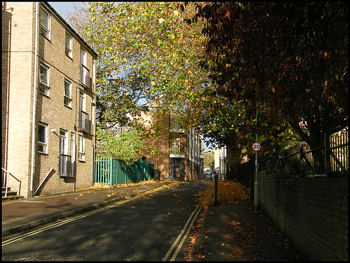 autumn in Jericho Street