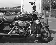 Road King