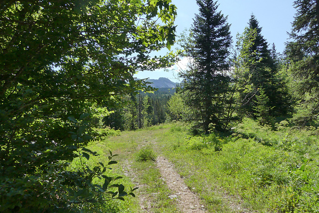 20170718 -23 Randos St Agnan en Vercors (15) al