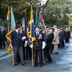 Remembrance Sunday (1)