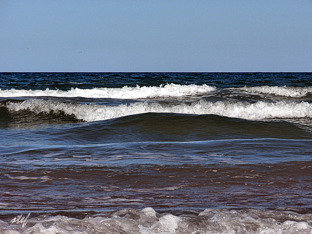 can you hear the ocean?