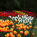 Display Gardens