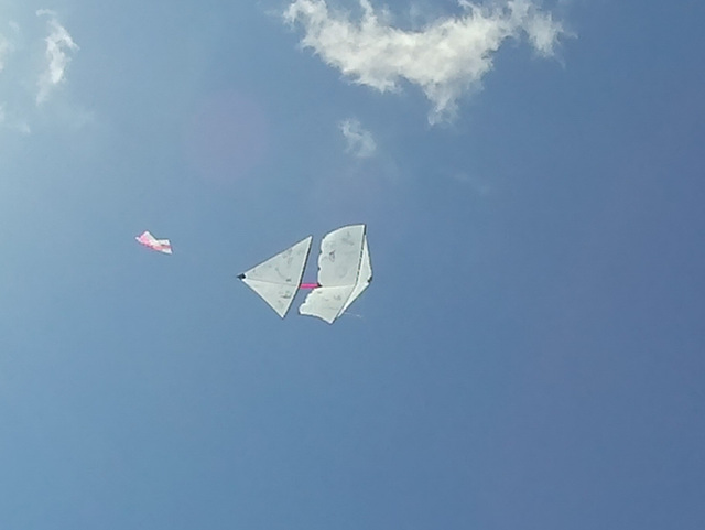 Beverley Kite Festival 2016 (73)