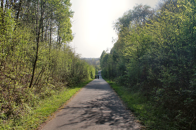 Weg im Korridorpark (Bergkamen) / 9.04.2017