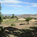 Ethiopian Rural Landscape West of Lalibela