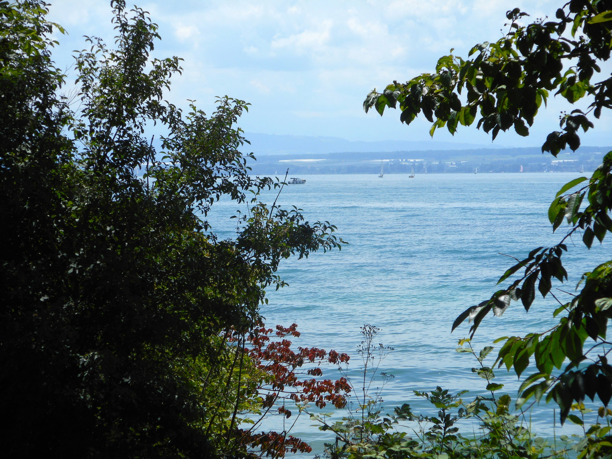 Durchblick