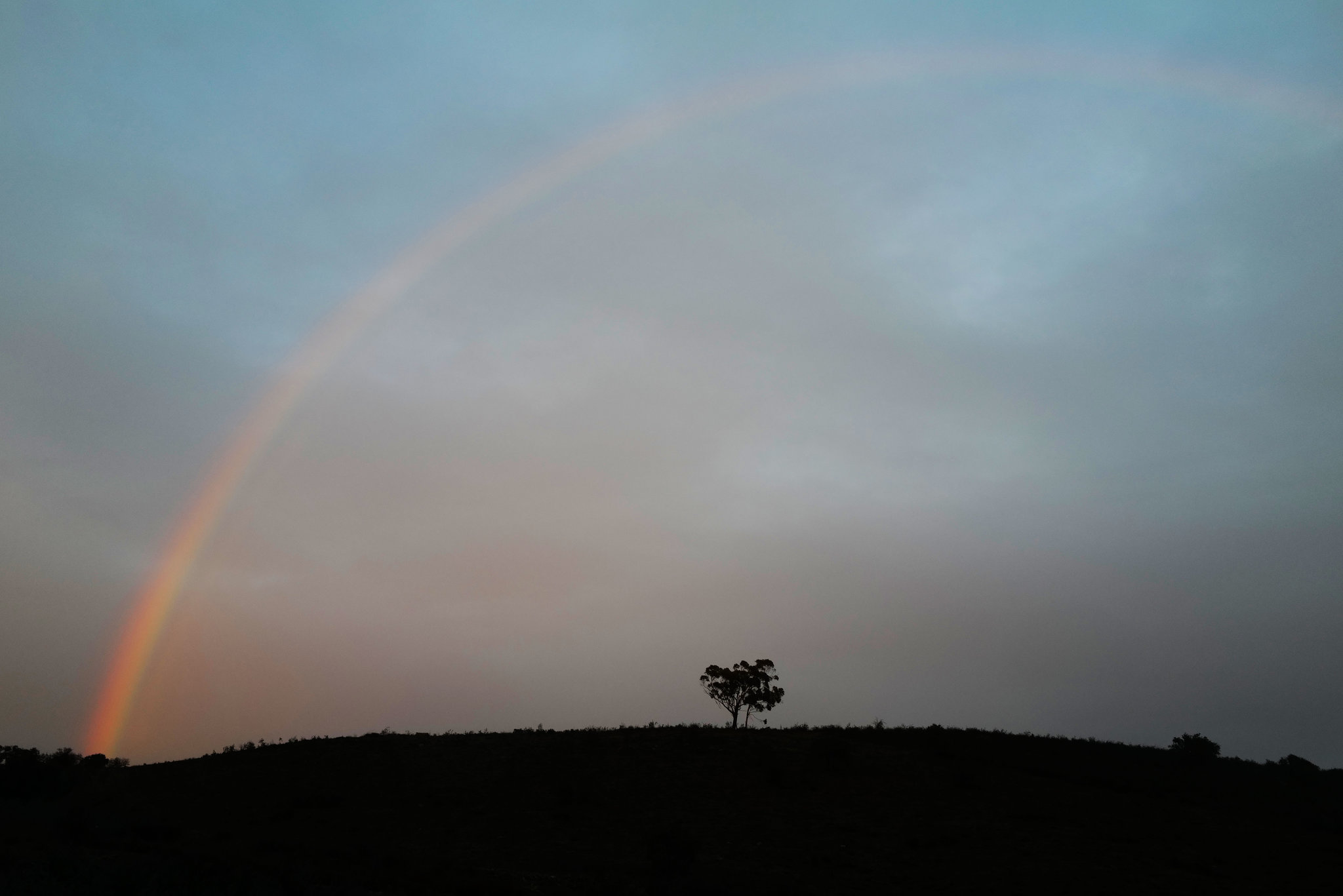 Penedos, Rainbow