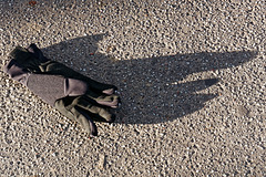 Âmes sensibles, attention : Un gant mort se dessèche au soleil