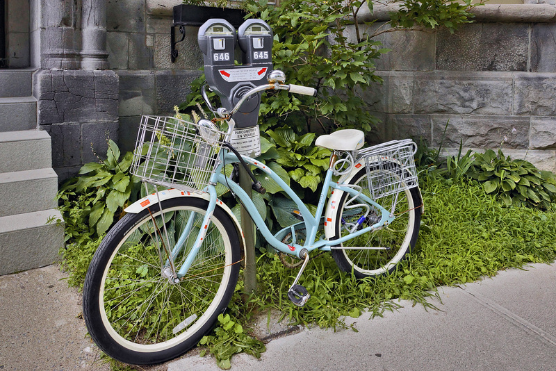 Meter Expired – de Maisonneuve Boulevard near Elm Avenue, Westmount, Québec