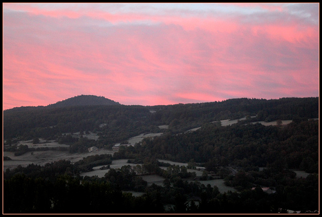 gelée blanche (2)