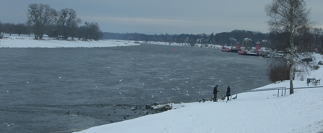 640 Elbe bei Laubegast