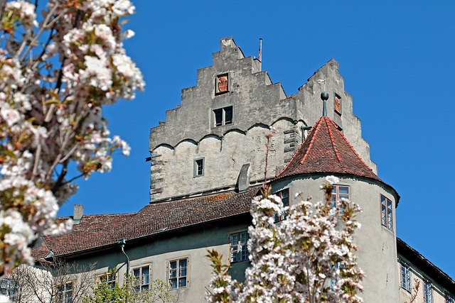 Die Meersburg (1)