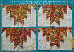 8 of my 16 Blocks for 2019 Quilt Guild Raffle Quilt Group Project - 3-11-19
