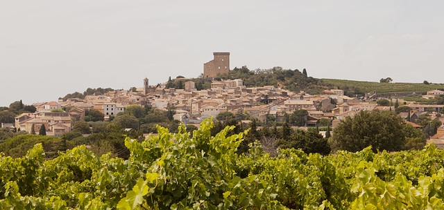 Châteauneuf-du-Pape