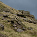 The rocks above Rock Farm