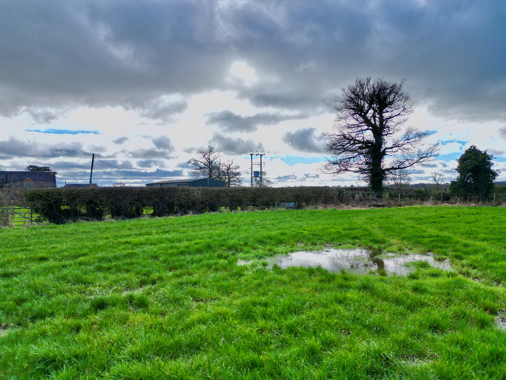 Wet fields