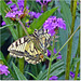 Le jardin des Renaudies en Mayenne