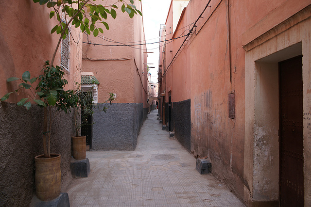 Alleyways Of Marrakech