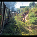 Le train Fianarantsoa-Manakara