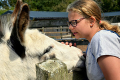 Donkey Love!