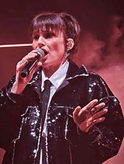 Carcassonne - Caravan Palace Carcassonne - Caravan Palace