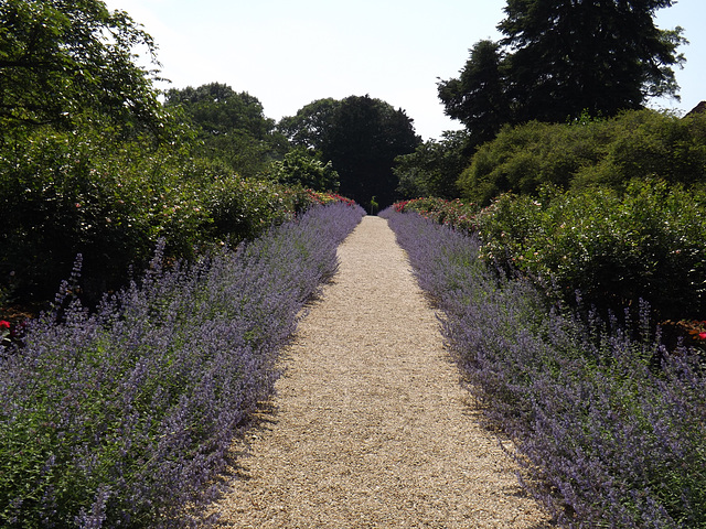 Garden Path at Planting Fields, May 2012