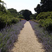 Garden Path at Planting Fields, May 2012